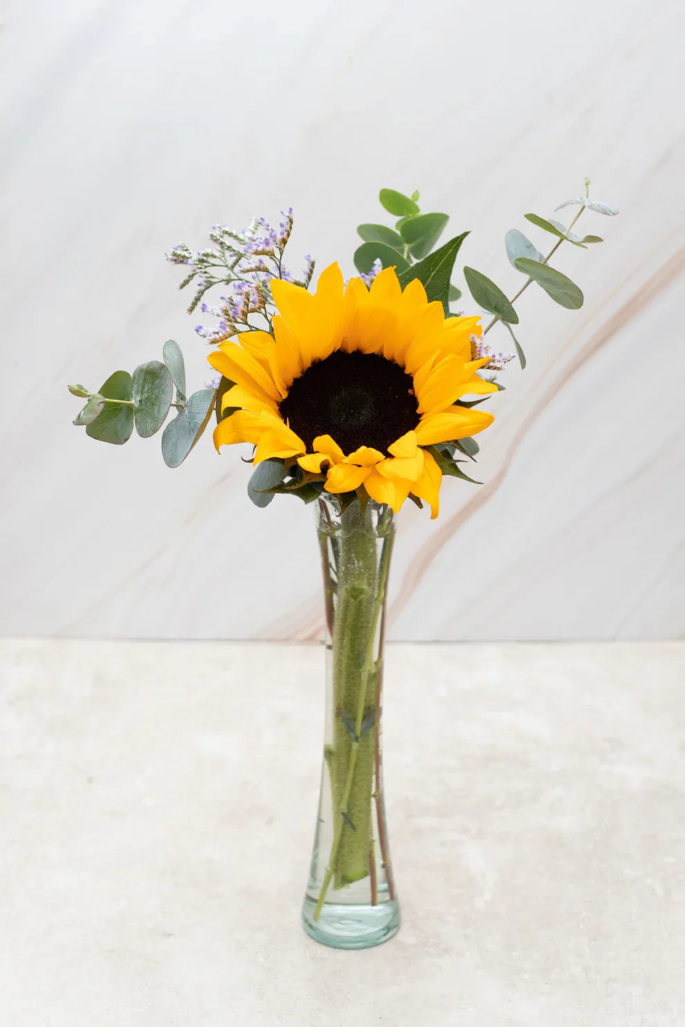 Girasoles a Domicilio en Chihuahua