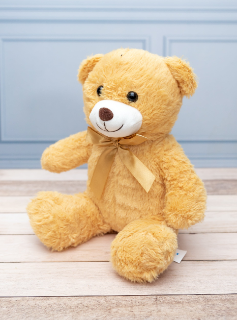 Peluches a Domicilio en Monterrey