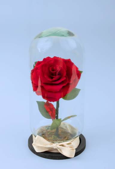 Rosas Eternas para Hombre