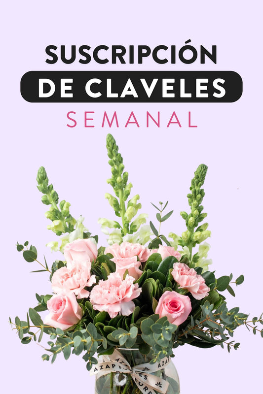 Suscripción de Claveles - Semanal