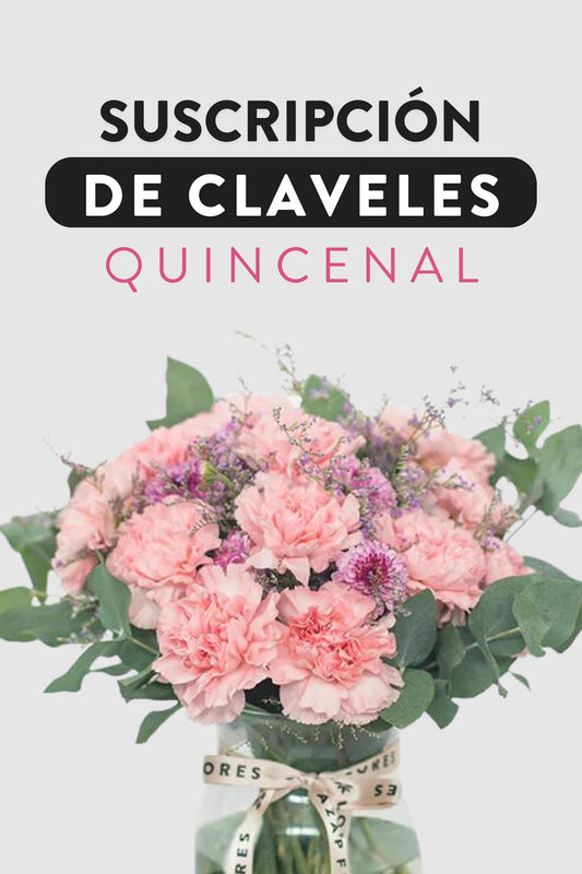 Suscripción de Claveles - Quincenal