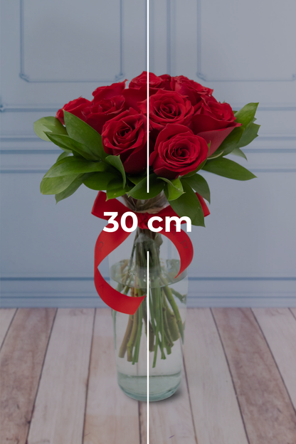 12 Rosas Rojas / Flores