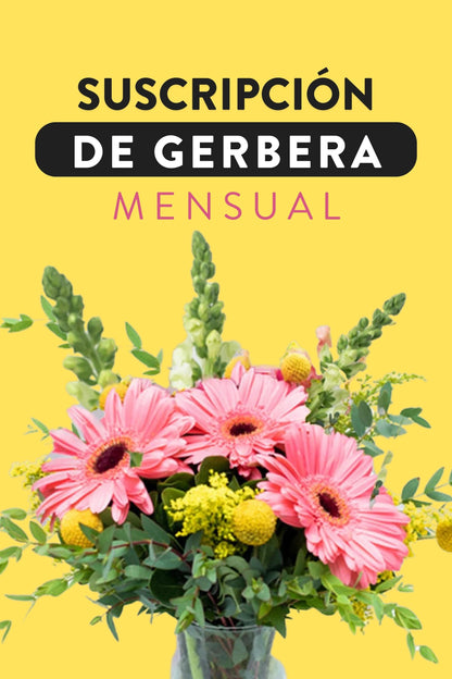 Suscripción de Gerberas / Mensual