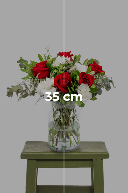 Techo / Rosa Roja y Clavel Blanco