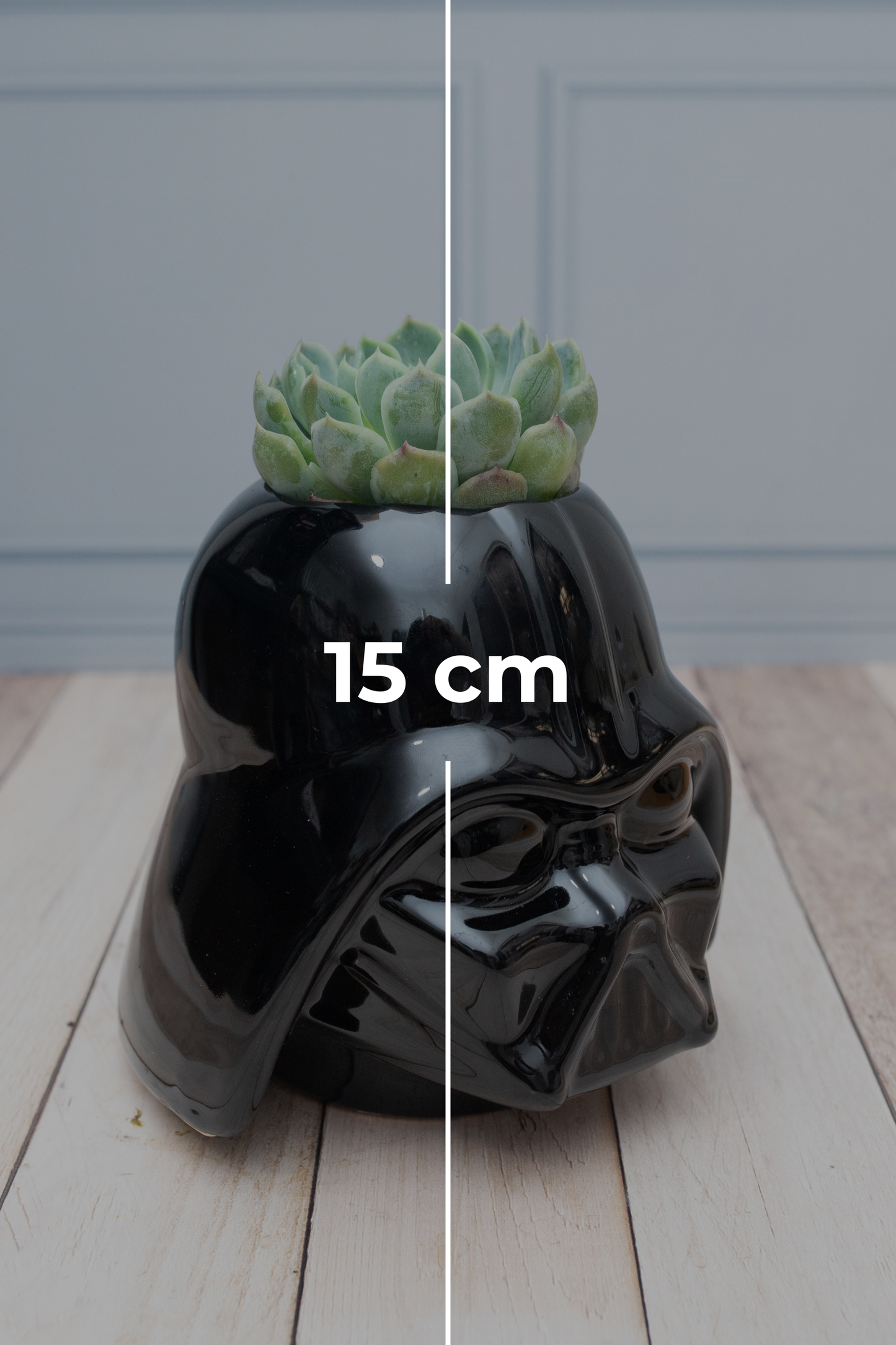 Suculenta - Maceta Darth Vader