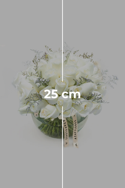 Para Siempre - Rosa Blanca en Pecera GDL