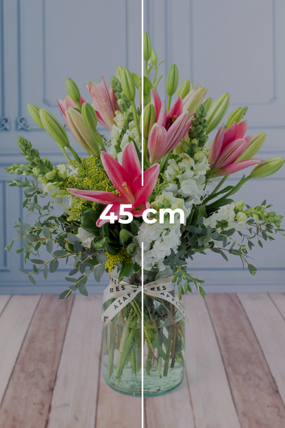 Paisaje - Lilium Rosa y Perrito Blanco TUXTLA