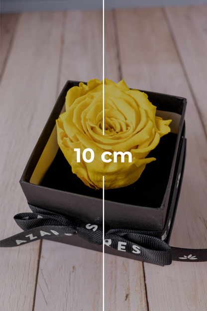 Love and Now - Eternal Yellow Rose in CUN Box