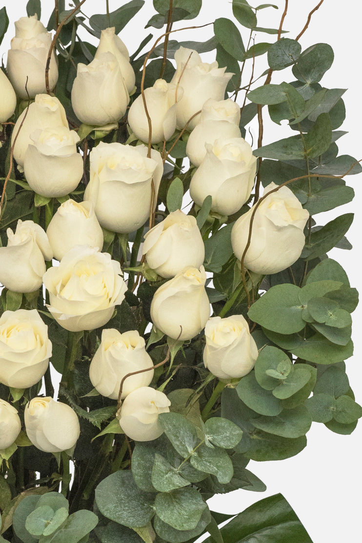 Arreglo Fúnebre / 50 Rosas Blancas