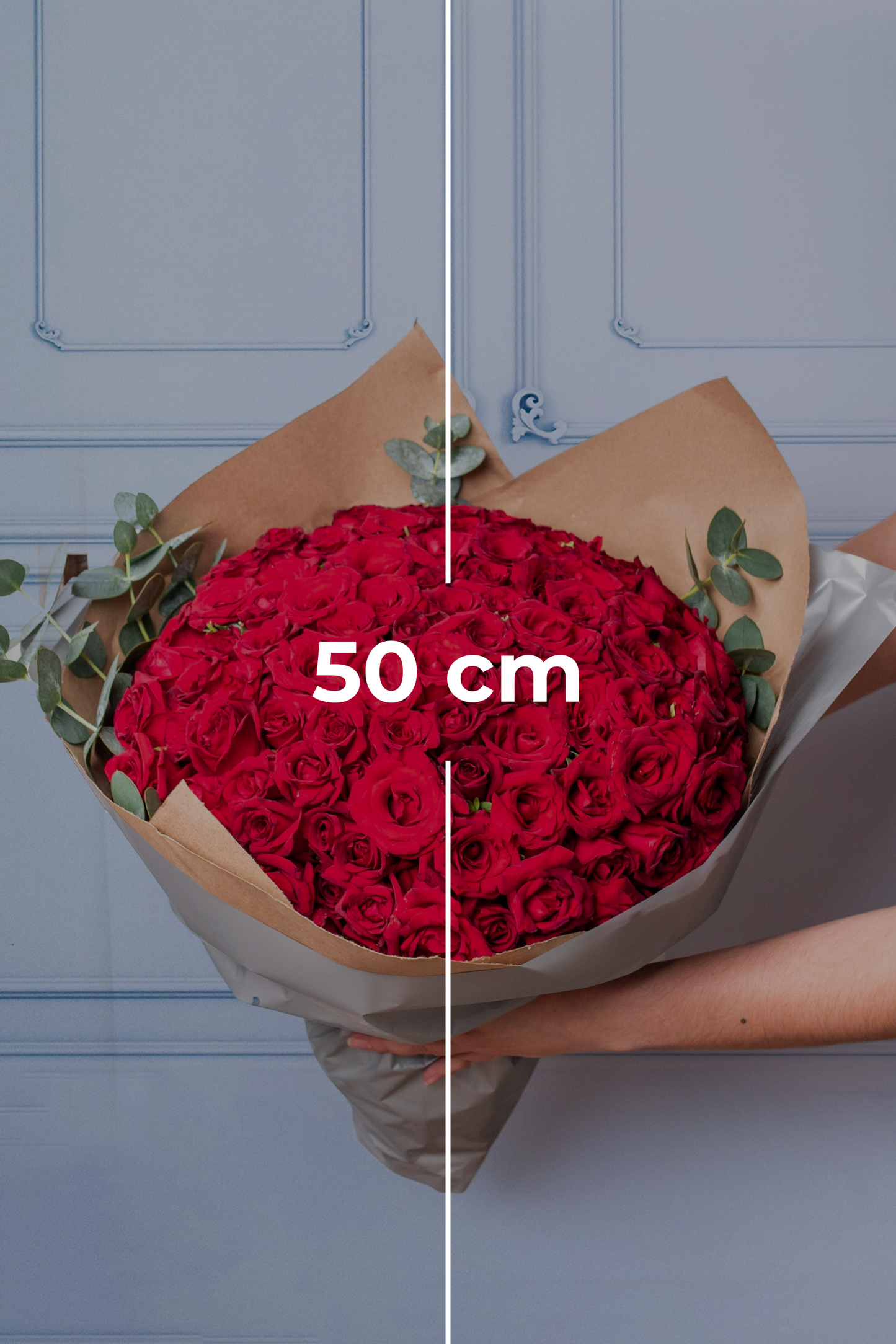Buchón Bouquet - 100 Red Roses CEL