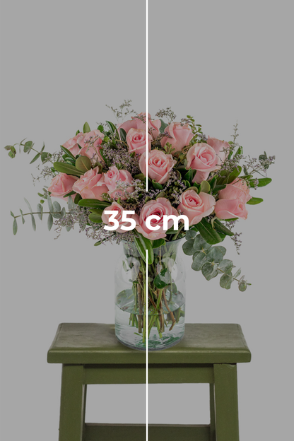 Amanecer // Rosa Clarita