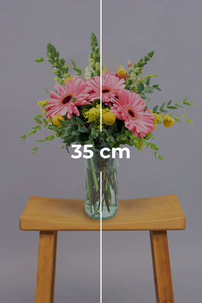 Optimista // Gerbera Rosa, Craspedia Amarilla y Perrito Blanco COL