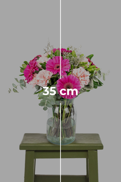 Noche en París - (Gerbera Rosa y Clavel Rosa) VILLA