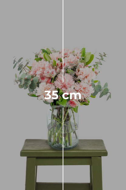 Noche de Verano // Clavel Rosa y Astromelia Rosa