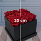 Mi Amor / Rosas Rojas en Caja