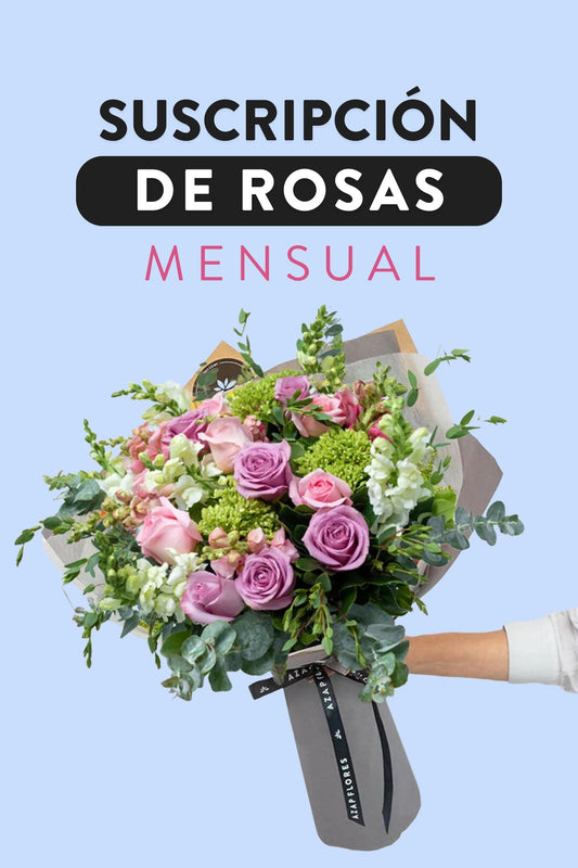 Suscripción de Rosas / Mensual