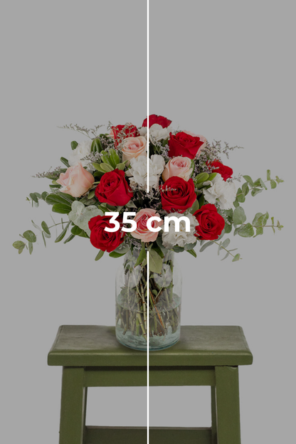 María Félix // Rosa Roja, Rosa Clarita y Clavel Blanco G