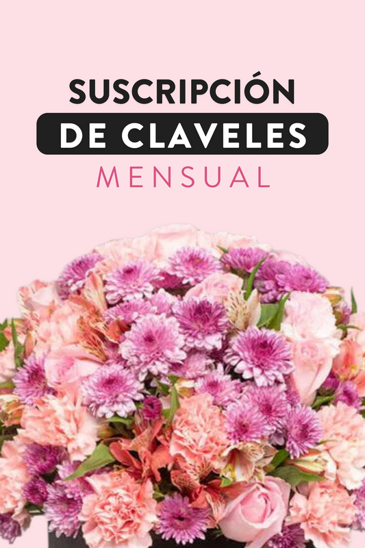 Suscripción de Claveles / Mensual
