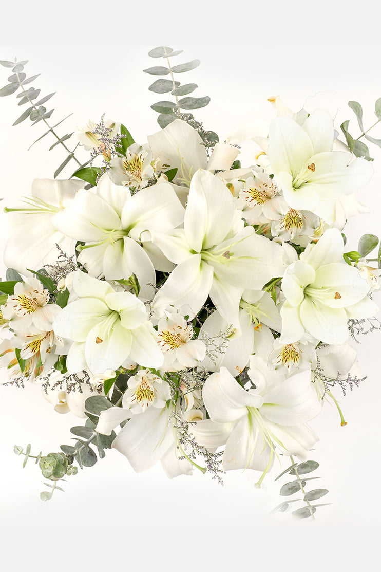 Algodón / Lilium Blanco CUL