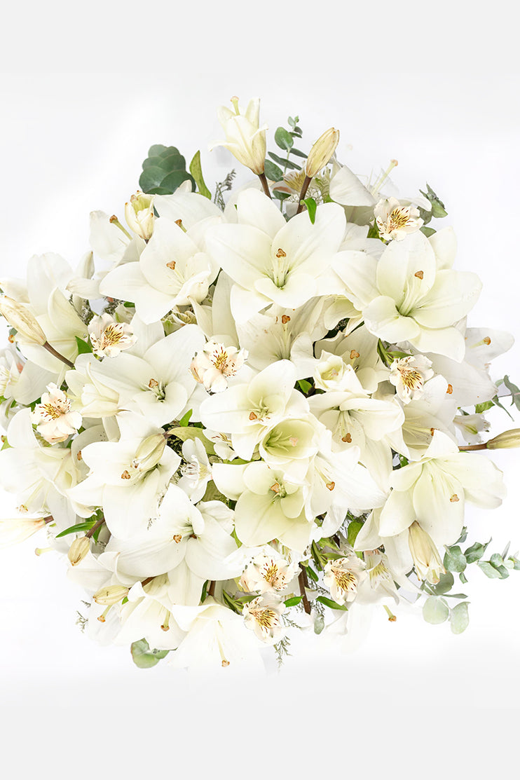 Algodón // Lilium Blanca y Astromelia Blanca