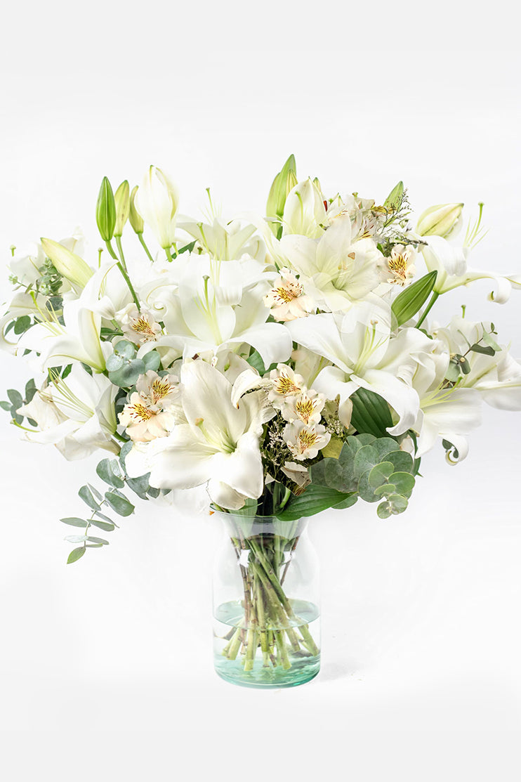 Algodón / Lilium Blanco CUL