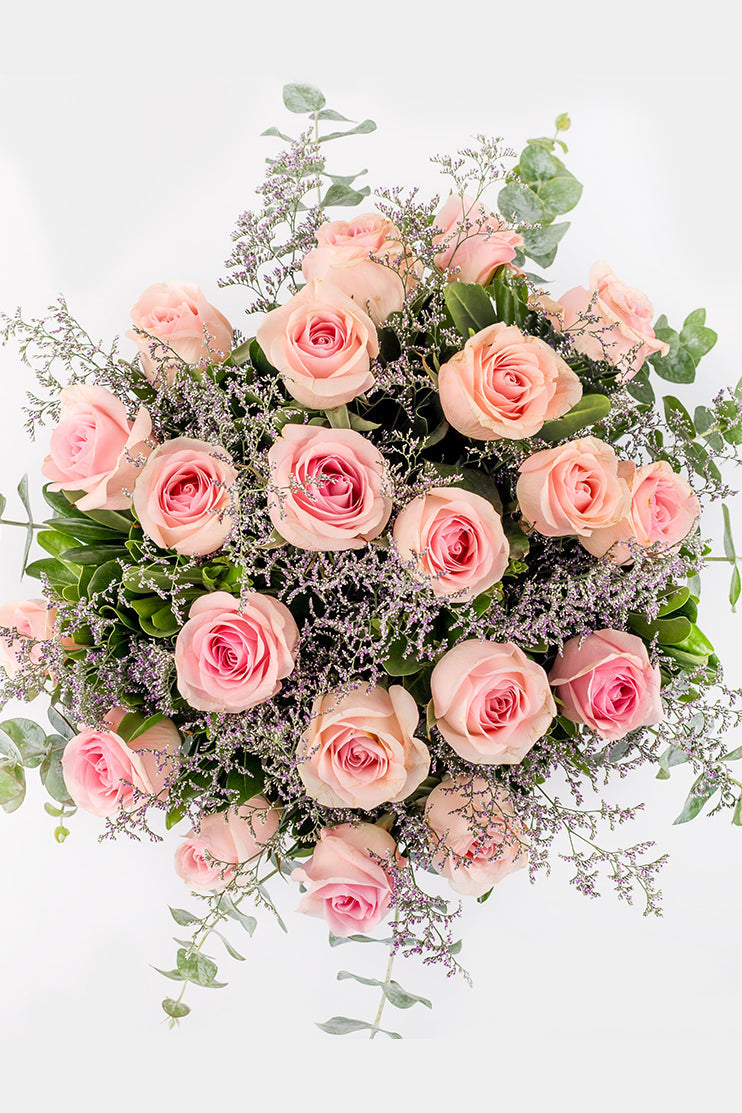 Amanecer / Rosa Clarita CUL