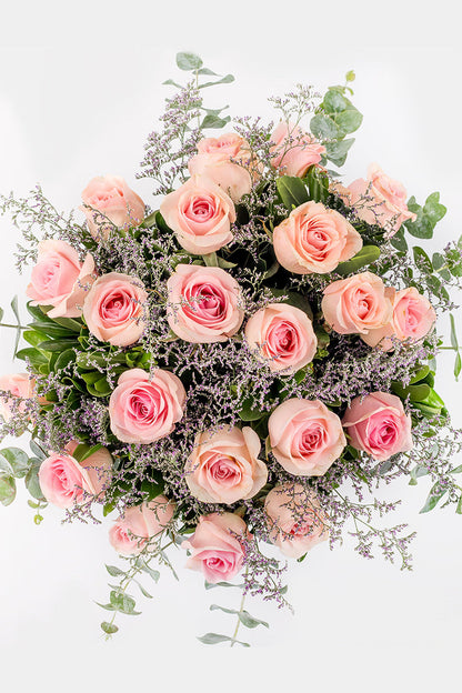 Amanecer / Rosa Clarita CUL