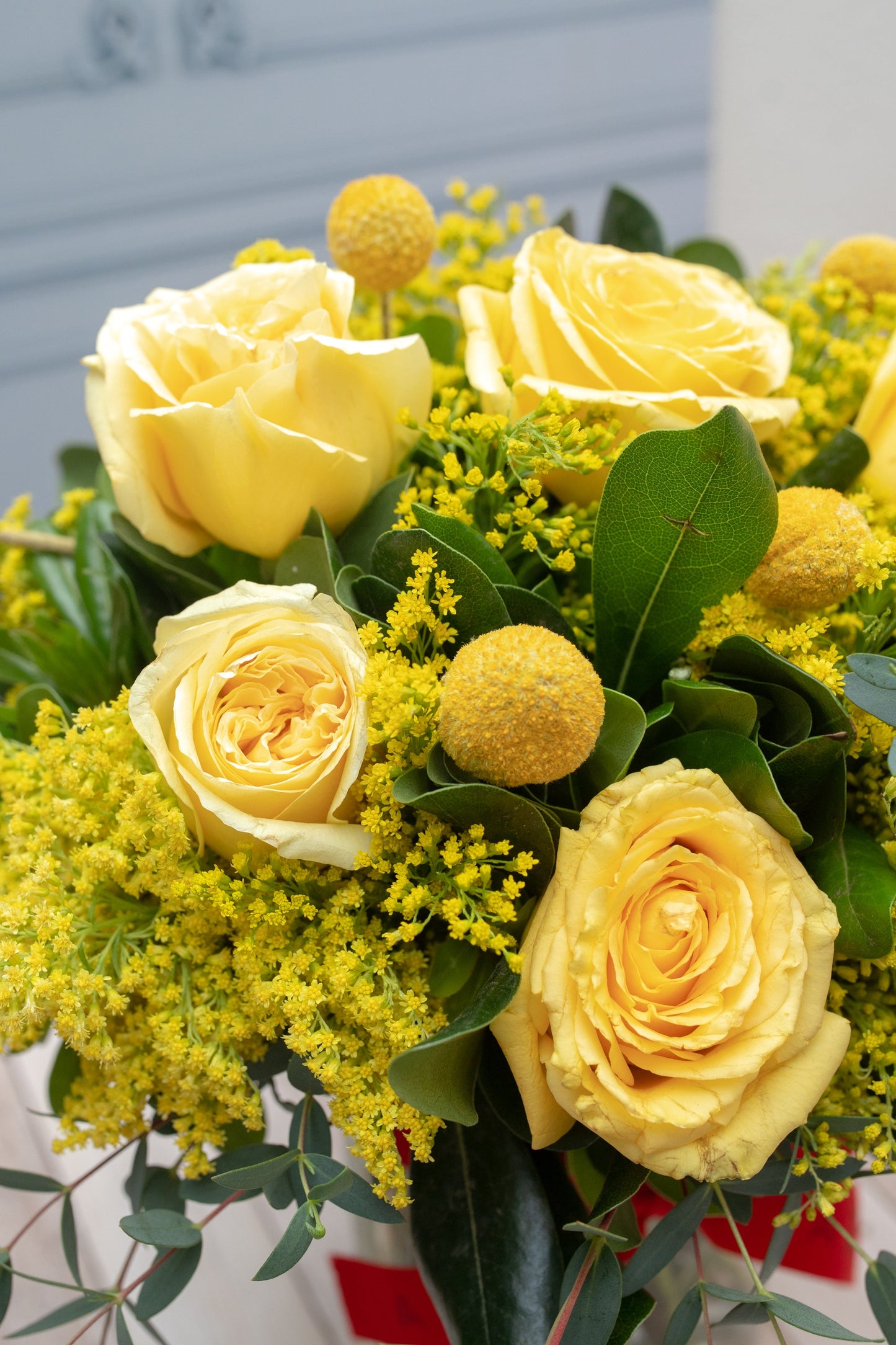 Amanecer Dorado - Rosa Amarilla y Craspedia PTO. ESCOND.