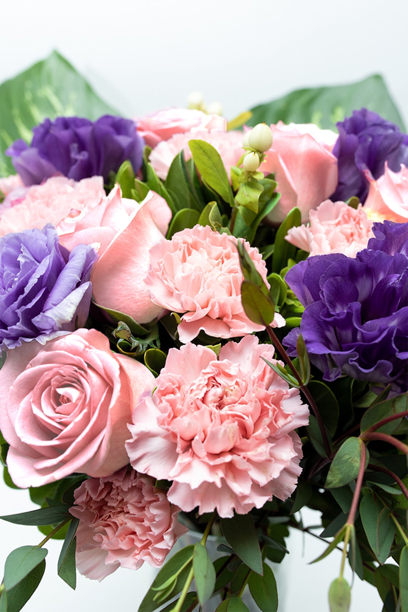 Amor Bonito / Rosa Clarita, Clavel Rosa y Lisianthus