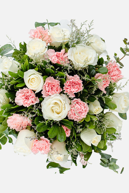 Arabella / Rosa Blanca y Clavel Rosa CUL
