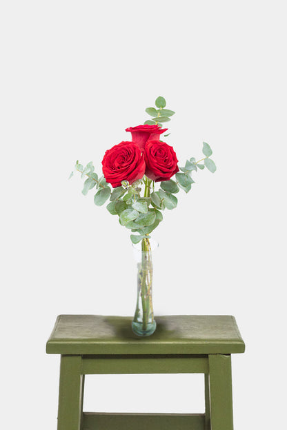 Bella / Tres Rosas Rojas CUL