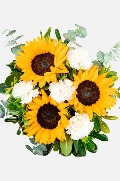 Cuando Calienta el Sol // Girasol y Clavel Blanco