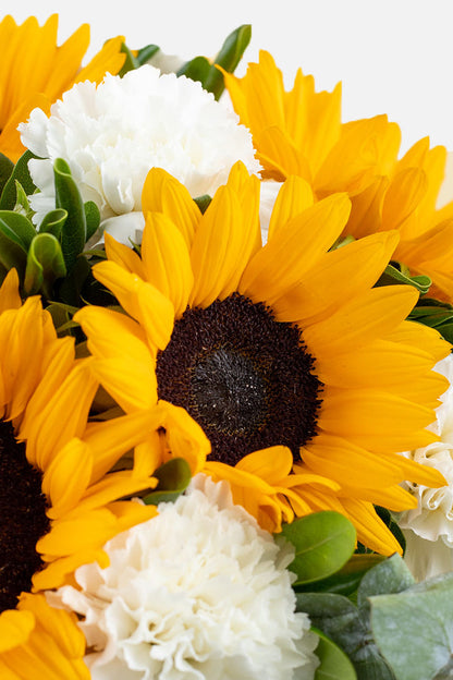 Cuando Calienta el Sol // Girasol y Clavel Blanco