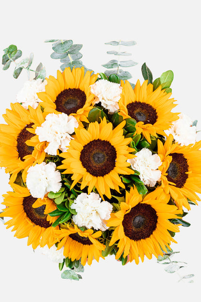 Cuando Calienta el Sol // Girasol y Clavel Blanco