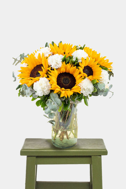 Cuando Calienta el Sol // Girasol y Clavel Blanco