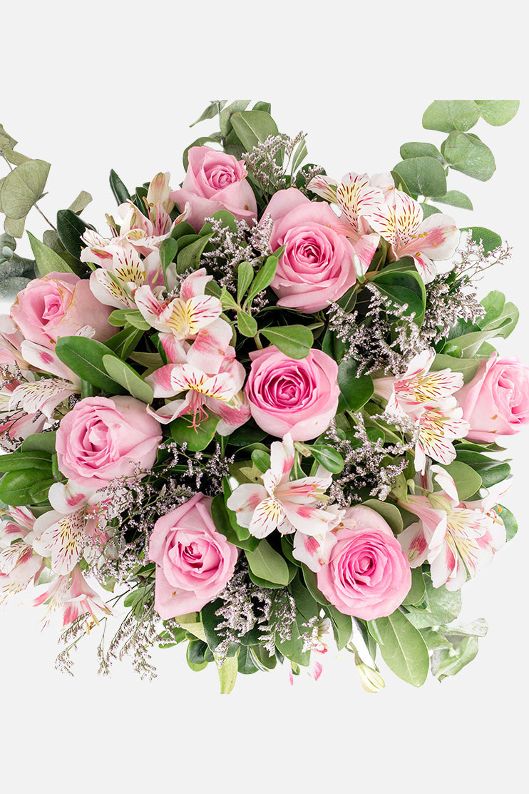 Cupido / Rosa Clarita y Astomelia CUL