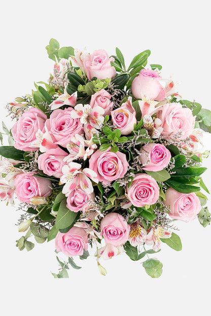 Cupido / Rosa Clarita y Astomelia CUL