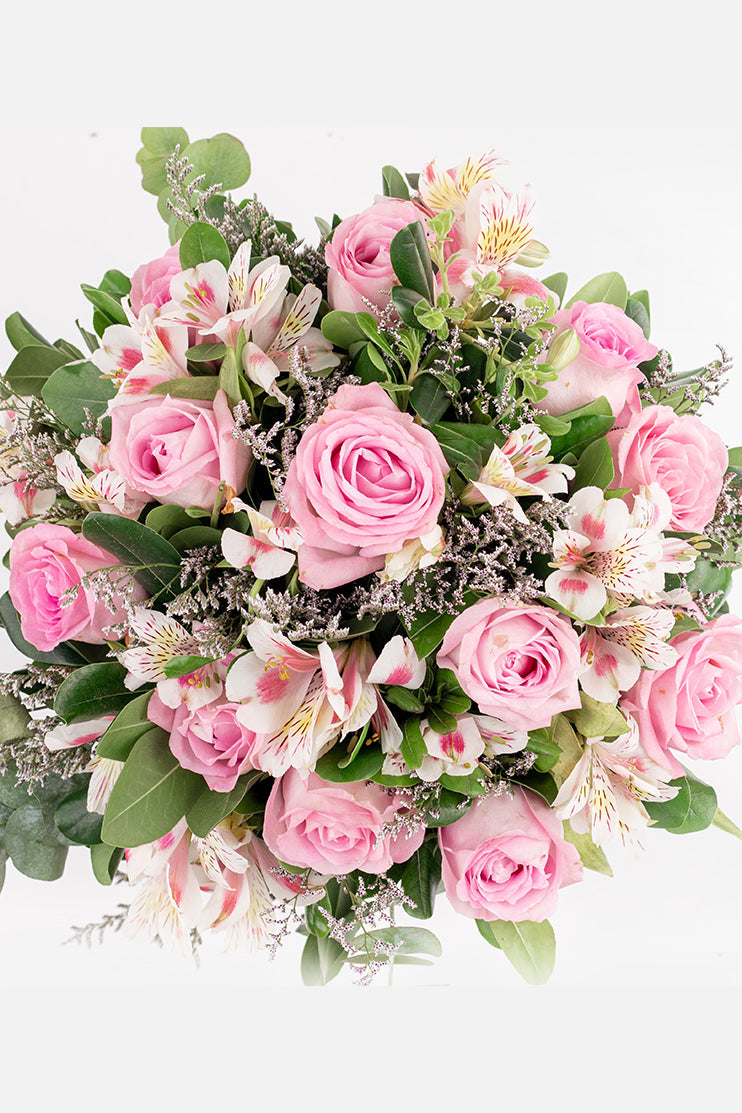 Cupido / Rosa Clarita y Astomelia CUL