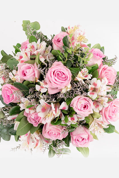 Cupido / Rosa Clarita y Astomelia CUL