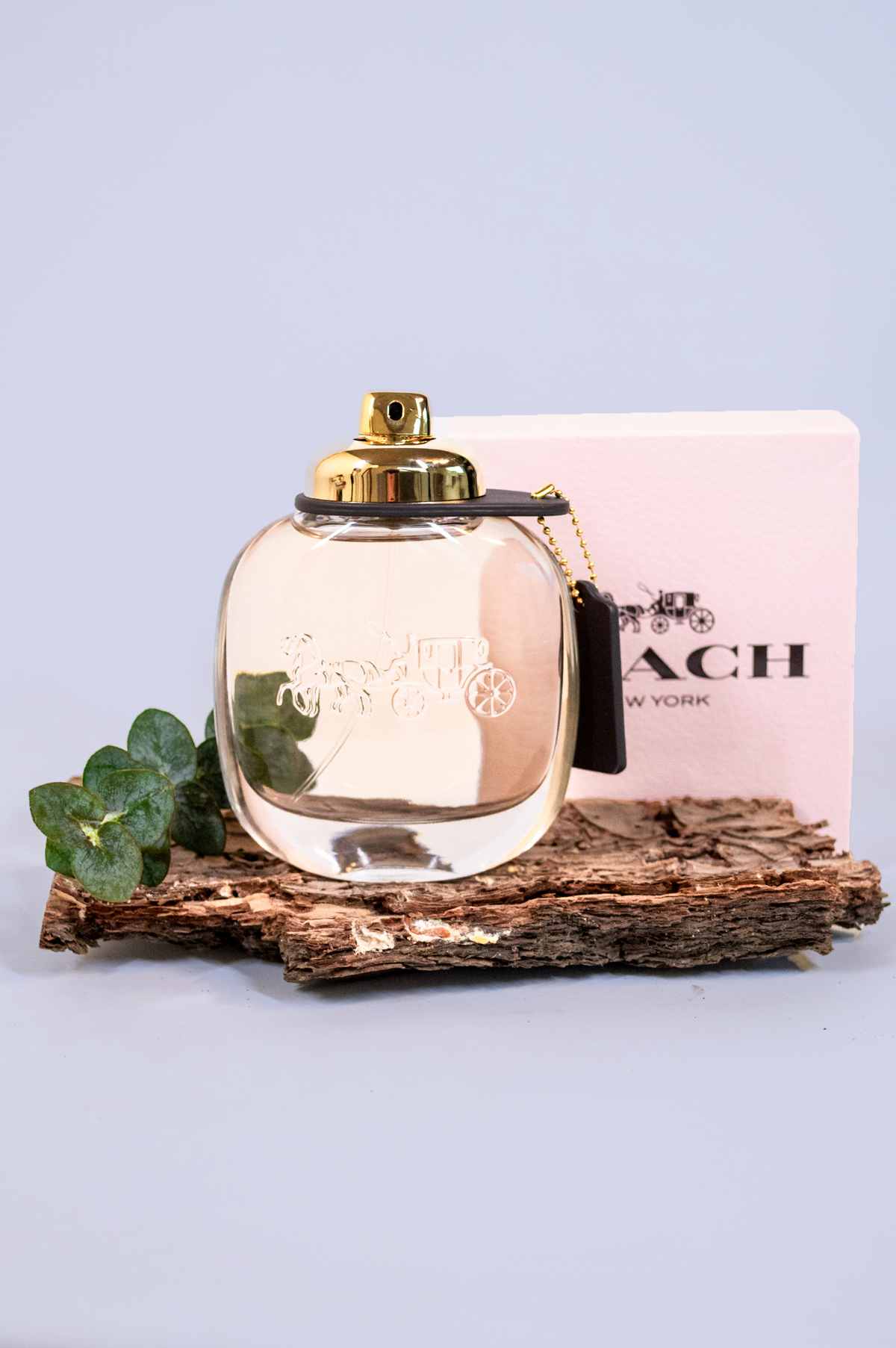 Coach – Eau de Parfum for Women