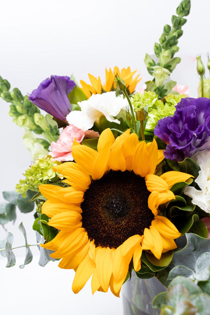 Emocionante - Girasol, Clavel Rosa y Blanco, Hortensia y Perrito VALLARTA