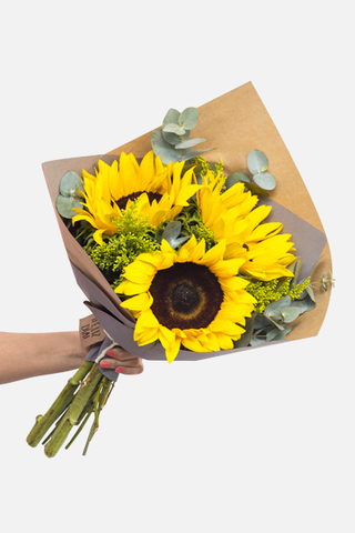 Forelsket / Girasoles CABOS