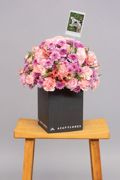 Ternura con Foto Personalizada - Rosa, Clavel y Astromelia Rosa