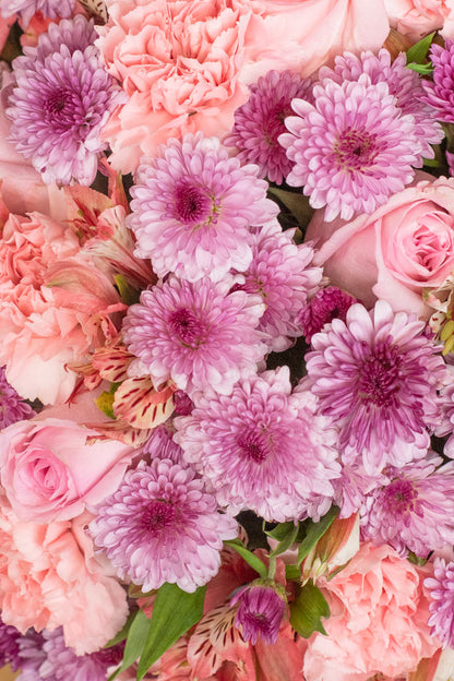 Ternura - Rosa, Clavel y Astromelia Rosa VALLARTA
