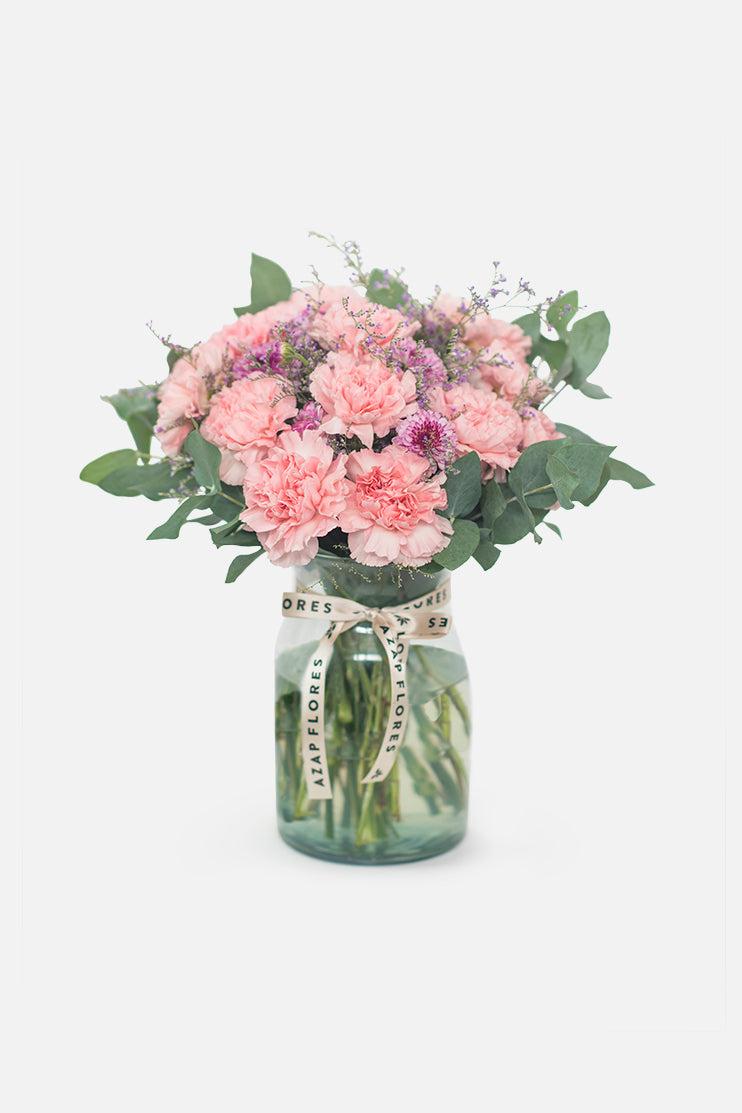 Campo de Claveles - Flores QRO