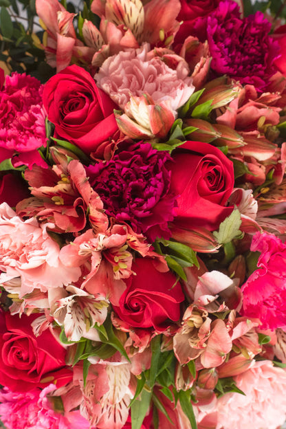 Enamorados - Rosa Roja, Clavel Rosa y Astromelia Rosa VALLARTA