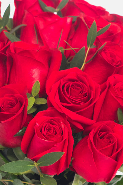 Amor con Rosas - Rosa Roja QRO