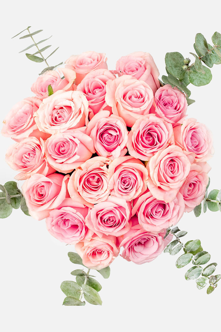 Flamingo Domingo / Rosa Clarita CUL