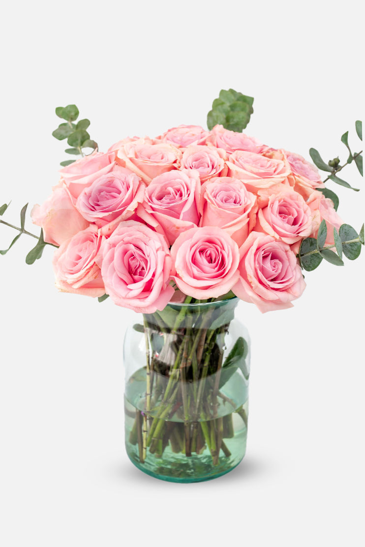 Flamingo Domingo / Rosa Clarita CUL