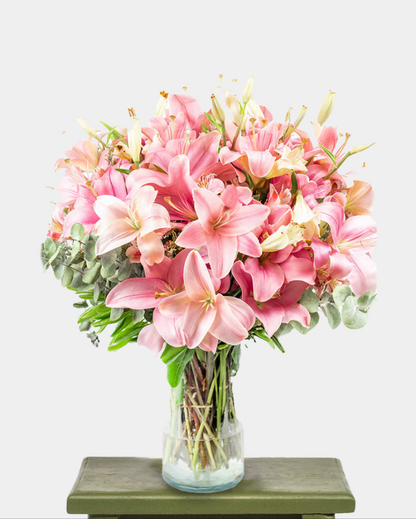 Pantera Rosa / Lilium Rosa CUL